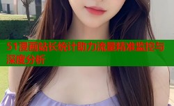 51漫画站长统计助力流量精准监控与深度分析